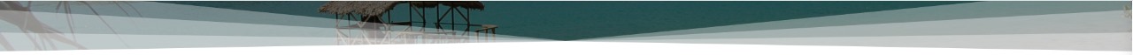 Vanuatu Banner